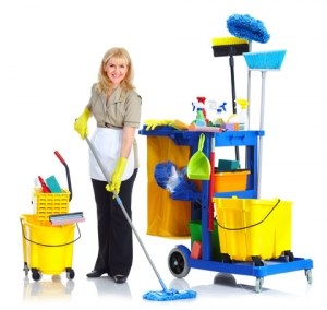 Cleaners Hoole: Domestic cleaning
