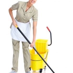 Cleaners Hoole: Domestic cleaning